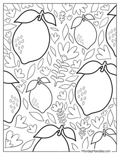 a coloring page with fruit and leaves