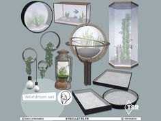 an assortment of different types of glass and metal objects with plants in them on display