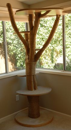 a cat tree in the corner of a room next to a window with sunlight coming through it