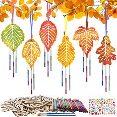 an assortment of autumn leaves hanging from a tree with crayons on the ground