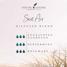 Air Diffuser, Breathe Out, Essential Oils Herbs