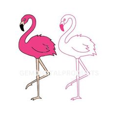 two pink flamingos standing next to each other