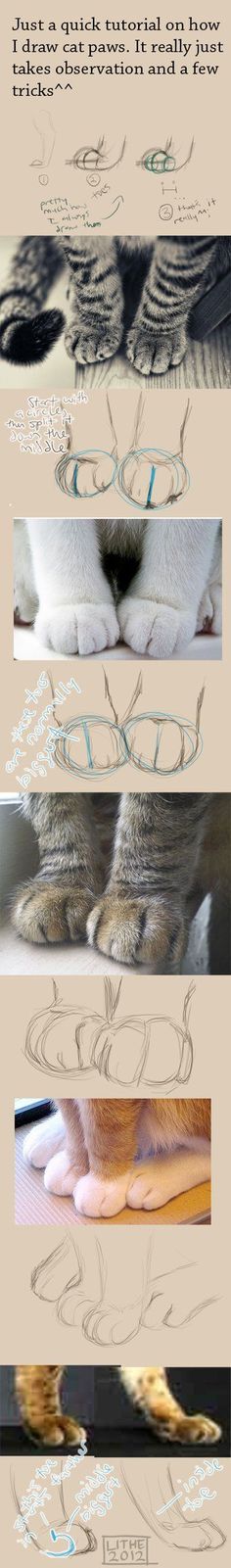 the different stages of drawing an animal's head and body in three separate layers