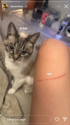 a cat sitting on top of a person's leg with the word art painted on it