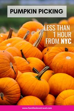 a pile of pumpkins with the words less than 1 hour from nyc