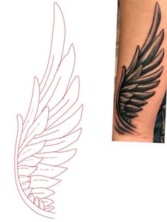 an image of a tattoo that looks like a bird's wing on the arm