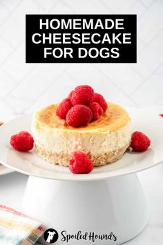 a cheesecake with raspberries on top and the words homemade cheesecake for dogs above it