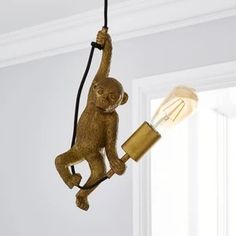 a monkey hanging from a light fixture in a room