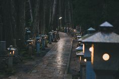 a path lined with lit up lanterns in the middle of a forest