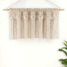 macrame wall hanging with tassels on white wall next to potted plant