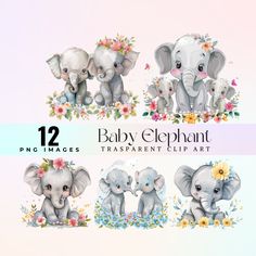 baby elephant clipart set with flowers and elephants in pastel pink, blue, yellow and white colors