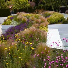 a garden with many different types of flowers and plants growing on the side of it