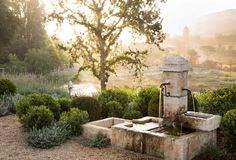 an old water pump in the middle of a garden with trees and bushes around it