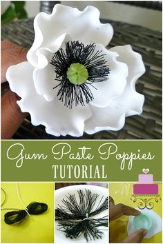 an image of how to make flower paper poppies for crafts and diy projects