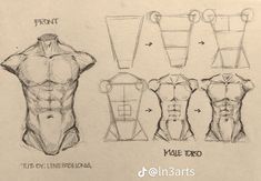 the drawing shows how to draw male torsos