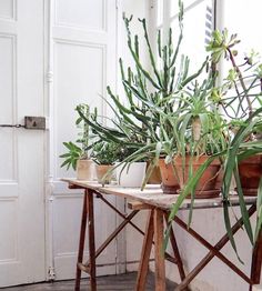 some plants are sitting on a table in front of a white door and windowsill