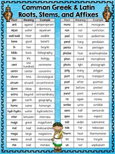 the common greek and latin roots worksheet