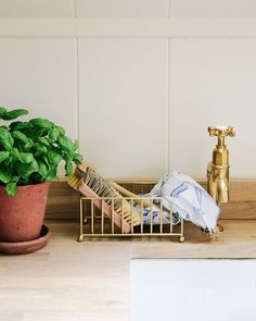 a potted plant sitting on top of a wooden counter next to a gold faucet