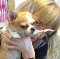 a woman is holding a small dog in her arms while she looks at the camera