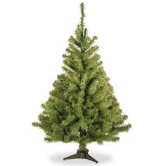 a small green christmas tree on a white background