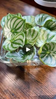 some green and white leaves in a glass bowl on a wooden table next to a knife