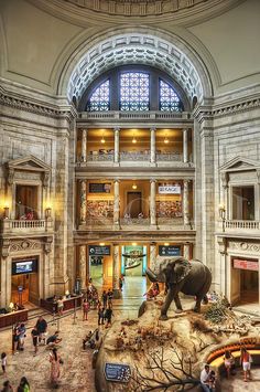 an elephant statue is in the middle of a large building with people standing around it