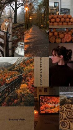 a collage of photos with pumpkins, trees and other things in the background