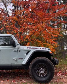 fall colors, jeep wrangler, lifted jeep, jeep inspo, michigan fall, fall aesthetic, jeep life Jeep Wrangler Earl Gray, Earl Grey Jeep, Lifted Jeep Wrangler, 2024 Moodboard, Jeep Wrangler Accessories, Jeep Wrangler Sahara, Wrangler Accessories, Lifted Jeep, Jeep Rubicon