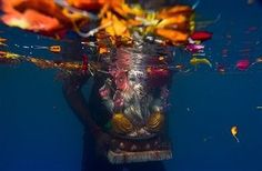 a person under water holding a vase with flowers on it's head and an orange flower in the background