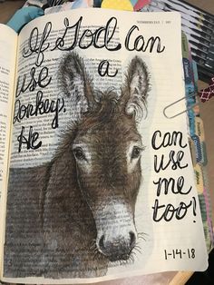 an open bible with a drawing of a donkey on it's page and the words, if god can use a monkey he use me too