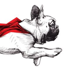 a drawing of a dog wearing a red cape