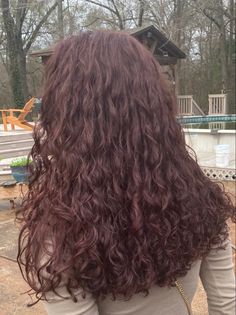 Burgundy On Curly Hair, Mahogany Hair Color On Curly Hair, Natural Red Wine Hair Color, Very Dark Burgundy Hair, Maroon Hair Color With Highlights, Burgundy Brown Curly Hair, Red Black Hair Curly, Natural Red Highlights In Brown Hair Curly, Dark Cherry Brown Hair Curly