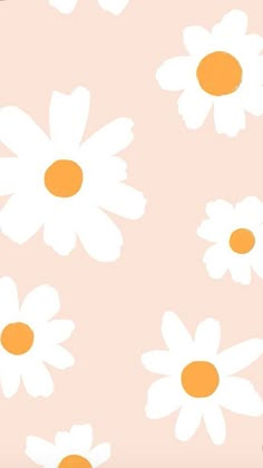 white and orange daisies on a pink background with an orange spot in the center