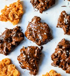 chocolate covered cookies are arranged on a white surface