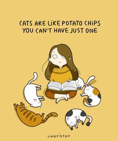 a woman reading a book with cats around her and the caption reads cats are like potato chips you can't have just one