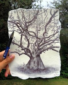 a drawing of a tree is being held up by a person with a pen in their hand