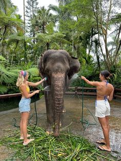 two women are washing an elephant in the water with hoses on its trunk and it's trunk