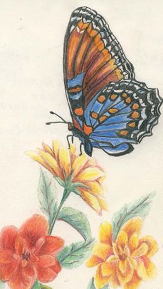 a drawing of a butterfly sitting on top of flowers