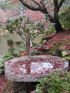 a stone bench sitting in the middle of a garden next to a lake with red leaves on it