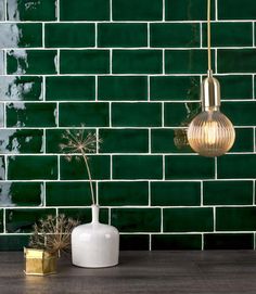 two vases with plants in front of a green brick wall and gold tint