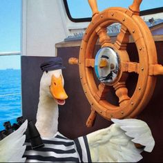 a duck wearing a sailor's outfit next to a steering wheel on a boat