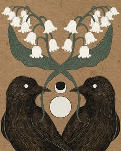 two black birds with white flowers on their heads are facing each other in front of a brown background