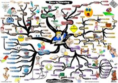 a mind map with many different types of people and things to see in the tree