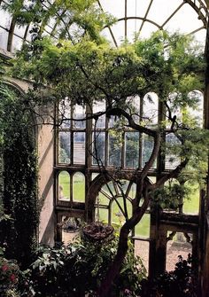 the inside of an old building with lots of windows and plants growing on it's sides