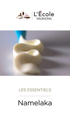 an image of a book cover with the title'les esseniels nammelka '