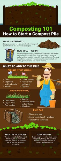 the basics of composting 101 how to start a compost pile info poster