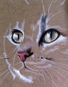 a drawing of a cat's face with blue eyes and white whiskers