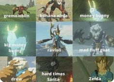 Botw Memes Funny, Zelda Memes Funny, Loz Botw, Video Game Memes