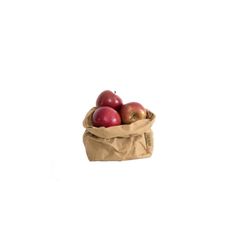 a brown bag filled with red apples on top of a white background and an apple sitting in it