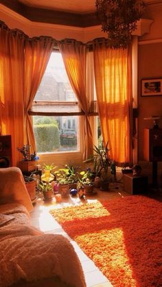 the sun shines through two windows in a living room with red carpet and orange drapes